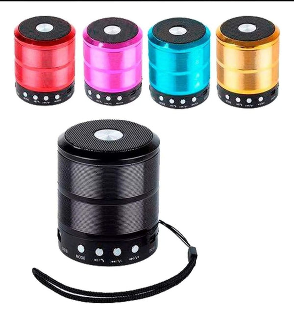 O Altomex Mini Speaker